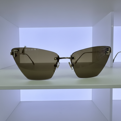 Sunglasses Product Photo